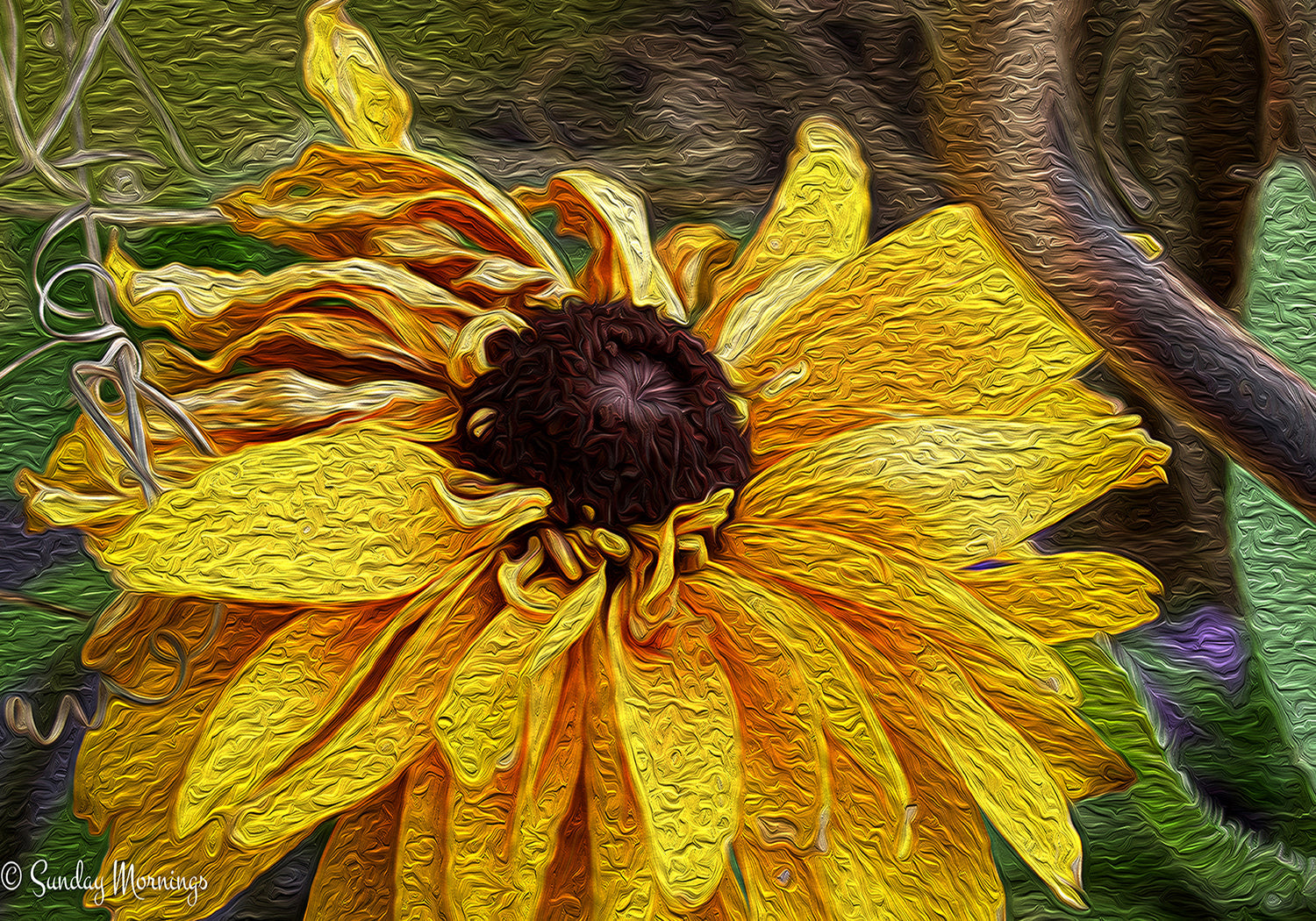 Fine Art Photography
