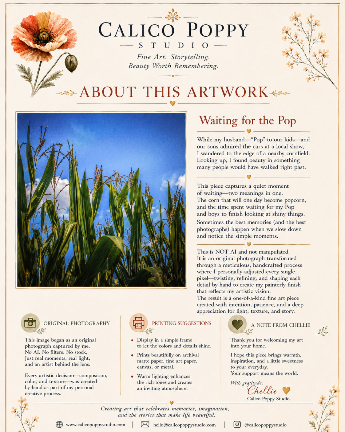 Waiting for Pop – Cornfield Photography, Midwest Farm Landscape Fine Art Print, Rural Blue Sky Wall Art, Country Nature Digital Download