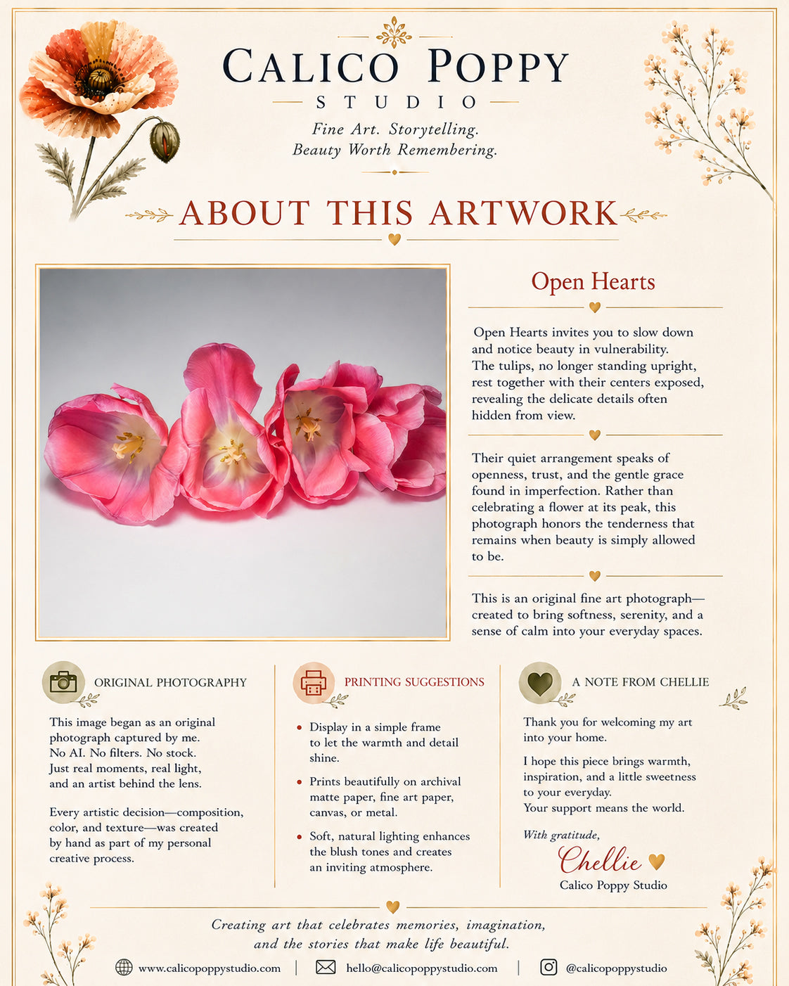 Open Hearts | Pink Tulip Fine Art Photography | Botanical Floral Wall Art | Original Flower Photography Digital Download