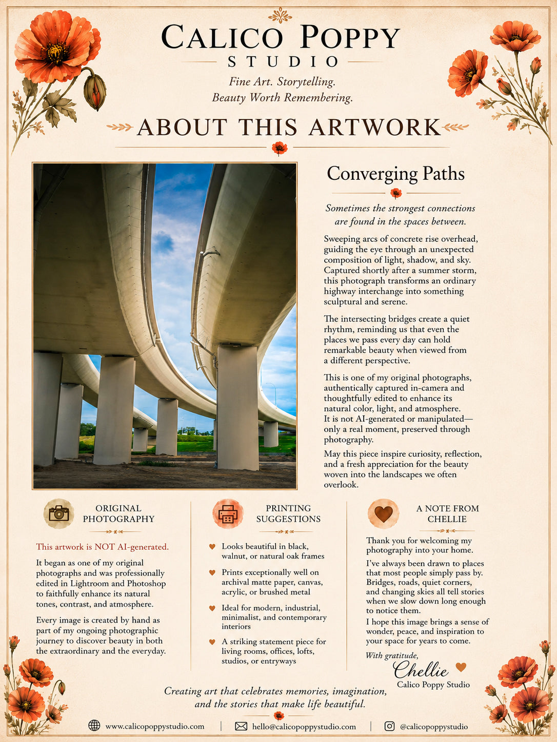 Converging Paths | St. Croix Crossing Bridge Fine Art Photography | Minnesota & Wisconsin Wall Art | Instant Digital Download