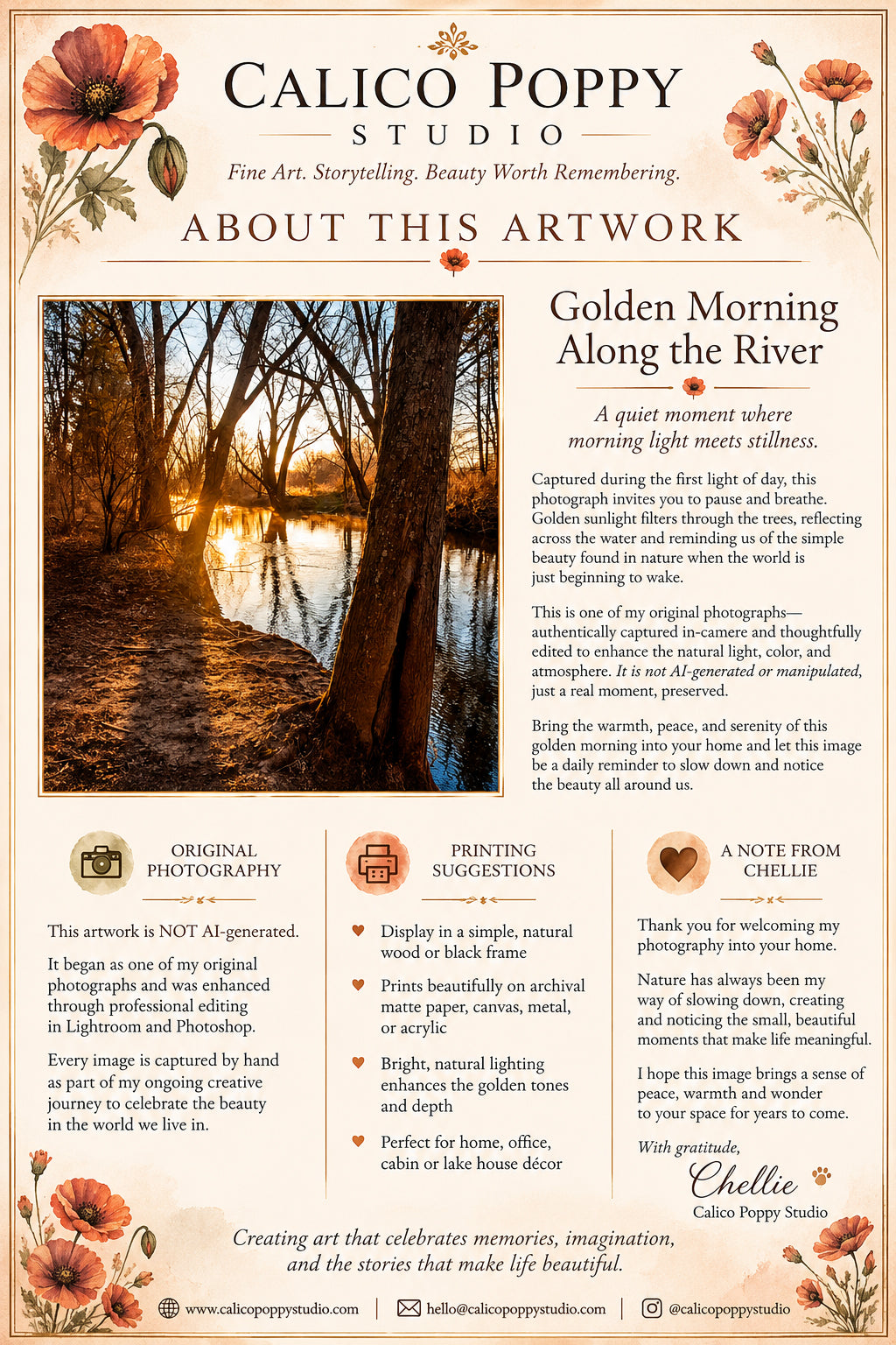 Golden Morning Along the River – Peaceful Woodland Sunrise Fine Art Photography Print | Nature Landscape Wall Art