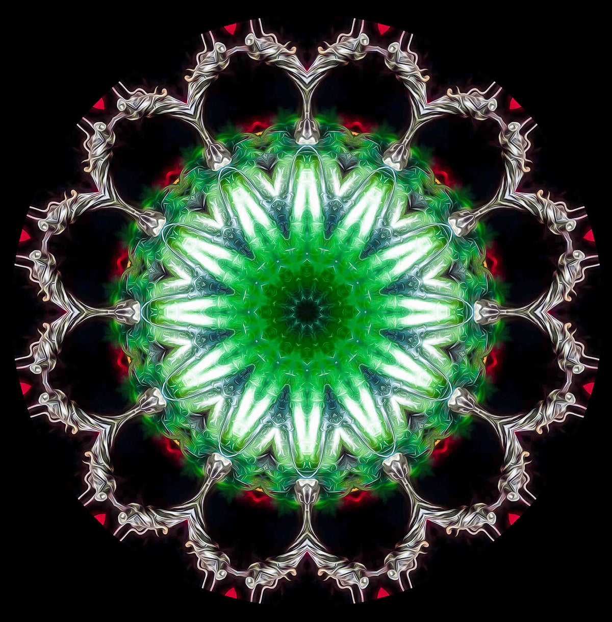Emerald Cathedral – Luminous Green Mandala Fine Art Print | Handcrafted Abstract Photography | Square Wall Art for Home & Meditation Spaces