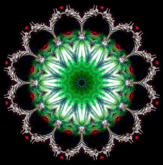 Emerald Cathedral – Luminous Green Mandala Fine Art Print | Handcrafted Abstract Photography | Square Wall Art for Home & Meditation Spaces