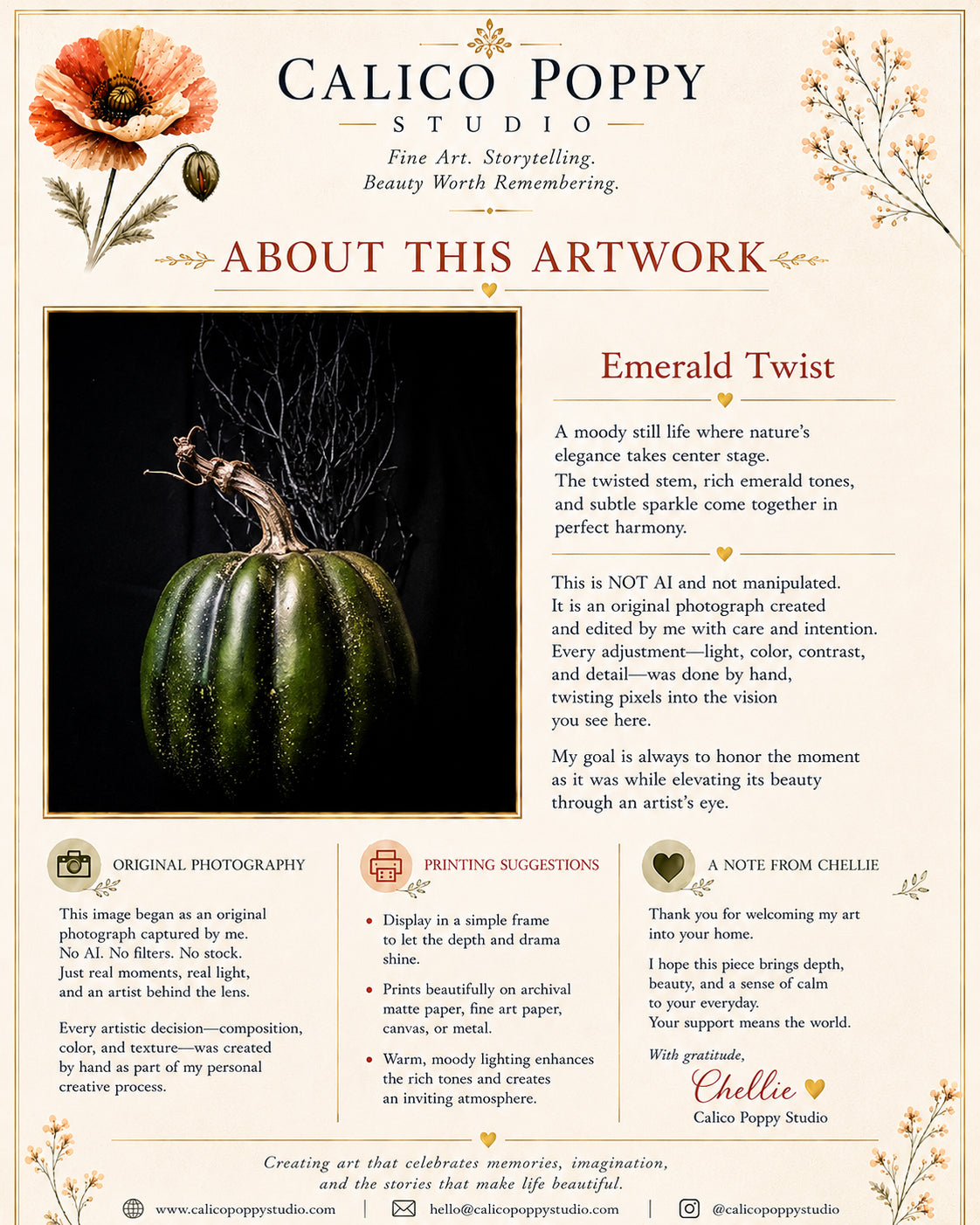 Emerald Twist – Moody Green Pumpkin Still Life Fine Art Photography Print | Botanical Rustic Wall Art | Original Handcrafted Photography