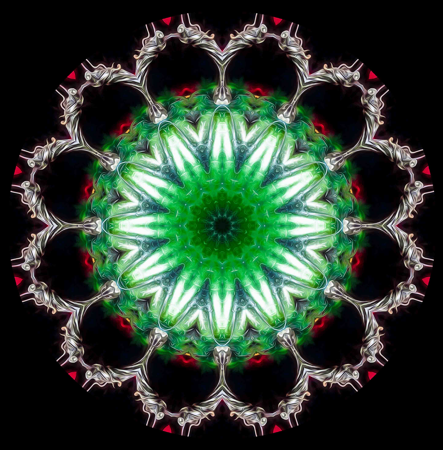 Emerald Cathedral – Luminous Green Mandala Fine Art Print | Handcrafted Abstract Photography | Square Wall Art for Home & Meditation Spaces