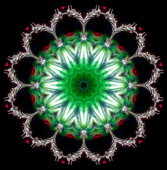Emerald Cathedral – Luminous Green Mandala Fine Art Print | Handcrafted Abstract Photography | Square Wall Art for Home & Meditation Spaces