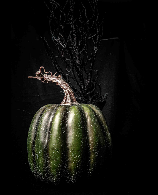 Emerald Twist – Moody Green Pumpkin Still Life Fine Art Photography Print | Botanical Rustic Wall Art | Original Handcrafted Photography