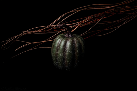 Emerald Wind – Moody Green Pumpkin Still Life Fine Art Print | Botanical Photography | Elegant Rustic Wall Art for Home & Office