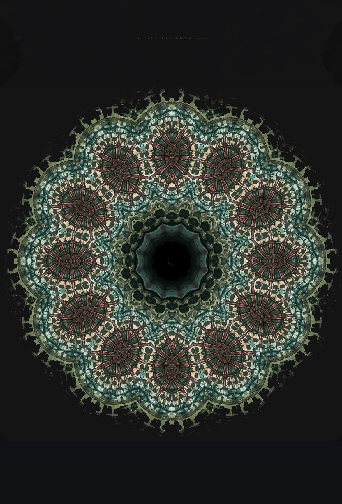 Twisted Bloom – Handcrafted Botanical Mandala Fine Art Print | Geometric Floral Wall Art | Original Photo Manipulation by Calico Poppy Studio